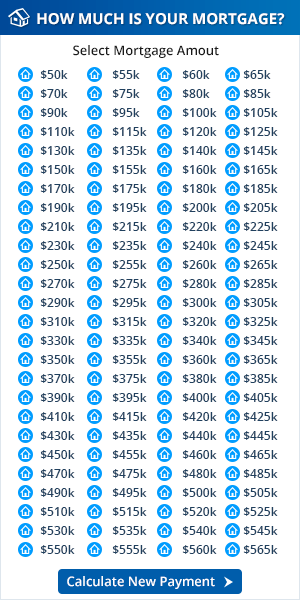 Select Your Loan Size
